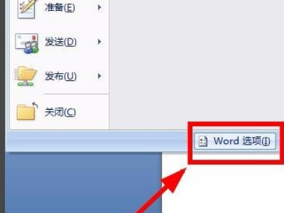 为什么noteexpress在word中不显示？