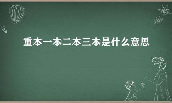 重本一本二本三本是什么意思