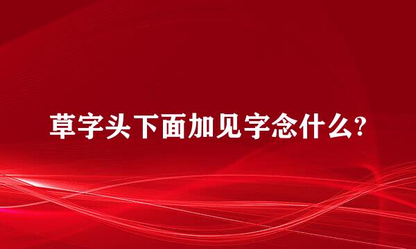 草字头下面加见字念什么?