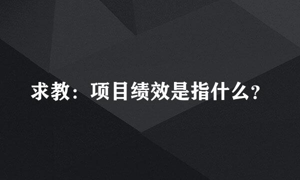 求教：项目绩效是指什么？