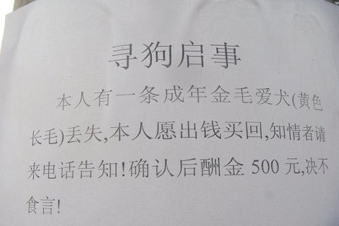 告示、通告、通知、启事、公告有什么区别？