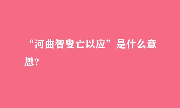 “河曲智叟亡以应”是什么意思?