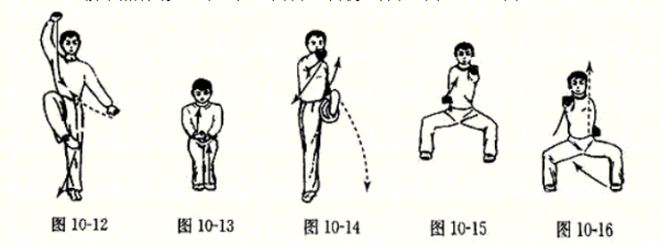 形神拳动作钟弦夜鸡名称及图解