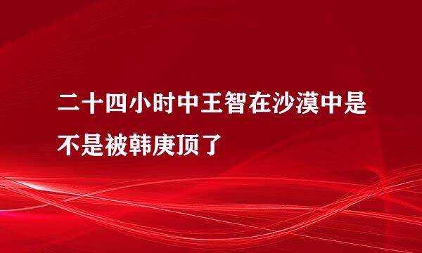 二十四小时中王智在沙漠中是不是被韩庚顶了