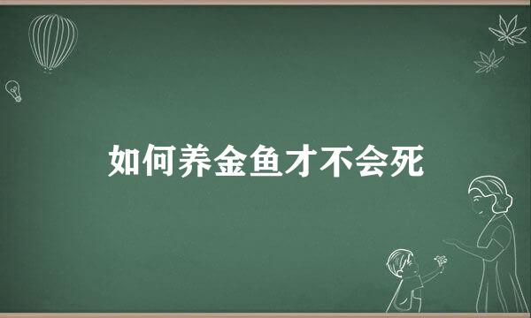 如何养金鱼才不会死