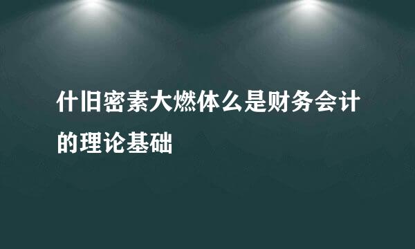 什旧密素大燃体么是财务会计的理论基础