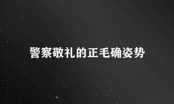 警察敬礼的正毛确姿势