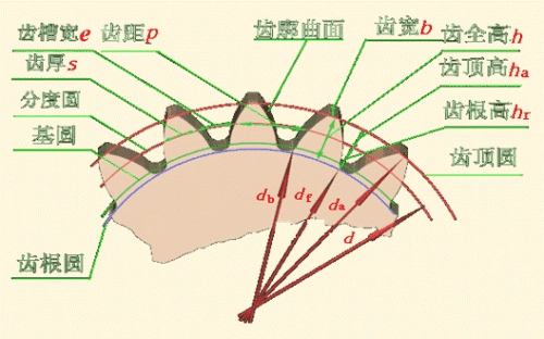 齿轮齿来自数的选择原则是什么?