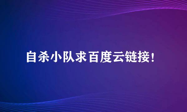 自杀小队求百度云链接！