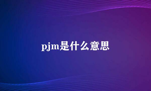 pjm是什么意思