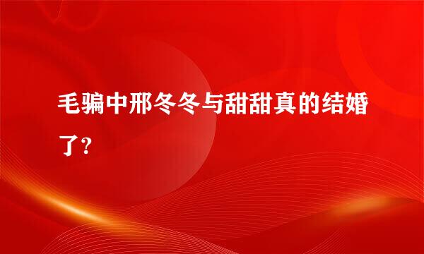 毛骗中邢冬冬与甜甜真的结婚了?