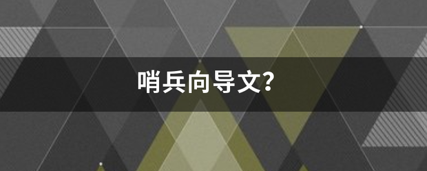 哨兵向导文？