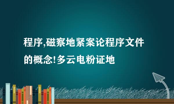 程序,磁察地紧案论程序文件的概念!多云电粉证地