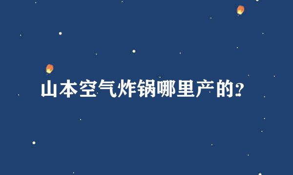 山本空气炸锅哪里产的？