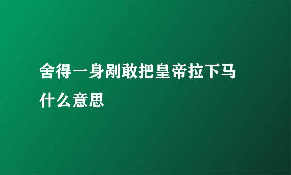 舍得一身剐敢把皇帝拉下马 什么意思