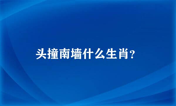 头撞南墙什么生肖？