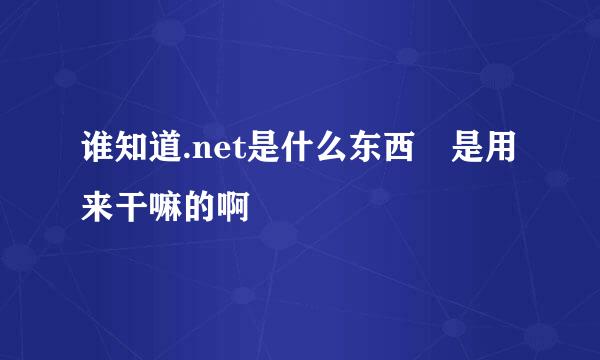 谁知道.net是什么东西 是用来干嘛的啊