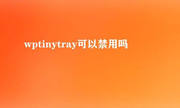 wptinytray可以禁用吗