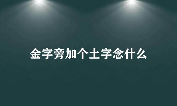 金字旁加个土字念什么