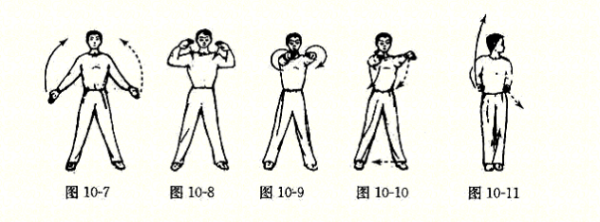 形神拳动作钟弦夜鸡名称及图解