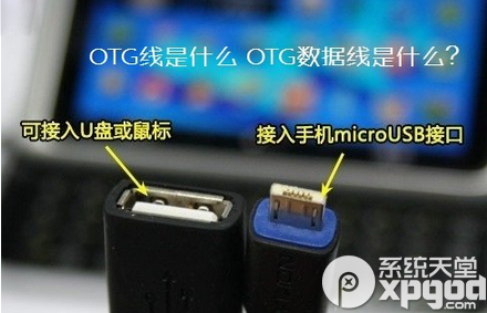 otg线是什么？