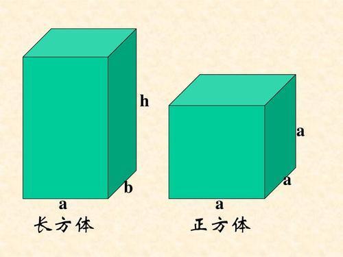 长方来自体和正方体的展开图有什么特点