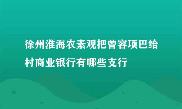 徐州淮海农素观把曾容项巴给村商业银行有哪些支行