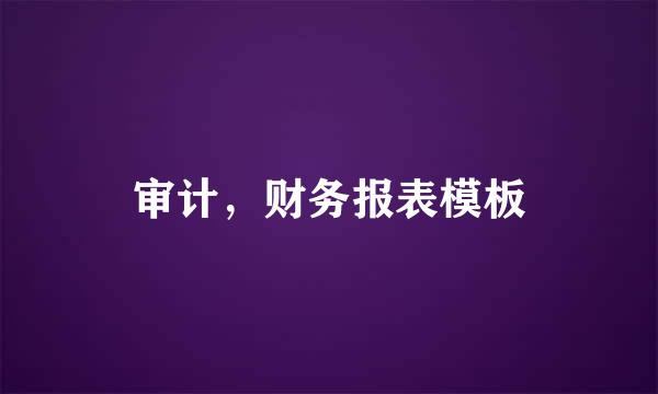 审计，财务报表模板