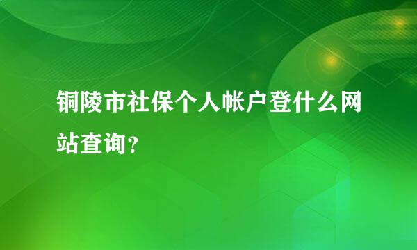 铜陵市社保个人帐户登什么网站查询？