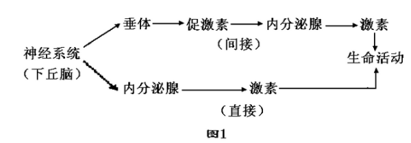 神经调节和体液调来自节的区别与联系？