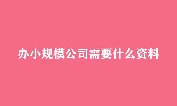 办小规模公司需要什么资料