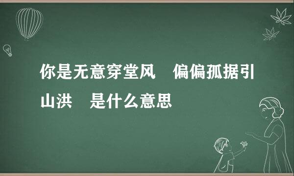 你是无意穿堂风 偏偏孤据引山洪 是什么意思