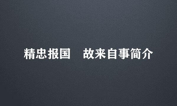 精忠报国 故来自事简介