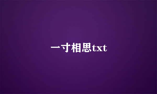 一寸相思txt