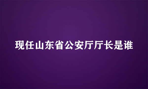 现任山东省公安厅厅长是谁