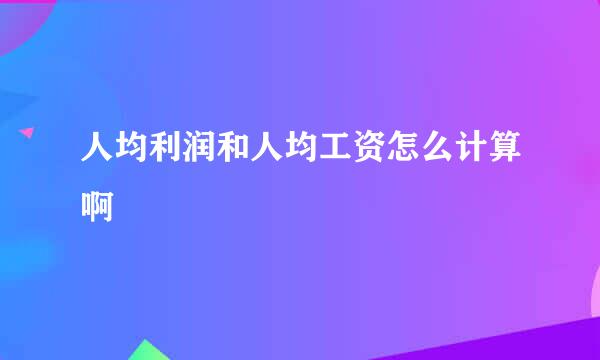 人均利润和人均工资怎么计算啊