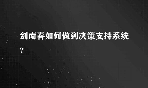 剑南春如何做到决策支持系统?