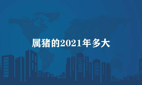 属猪的2021年多大