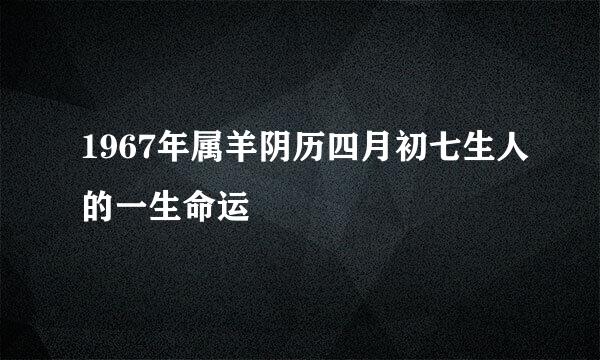 1967年属羊阴历四月初七生人的一生命运