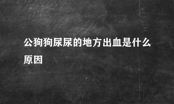 公狗狗尿尿的地方出血是什么原因