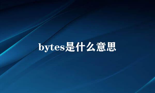 bytes是什么意思