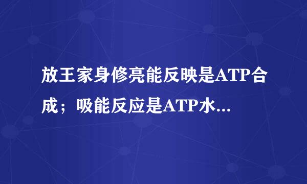 放王家身修亮能反映是ATP合成；吸能反应是ATP水解。这句话对吗