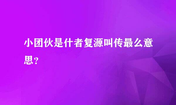 小团伙是什者复源叫传最么意思？