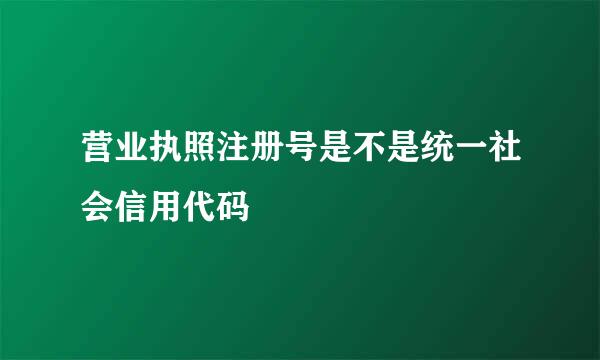 营业执照注册号是不是统一社会信用代码