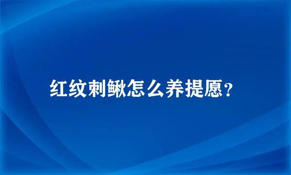 红纹刺鳅怎么养提愿？