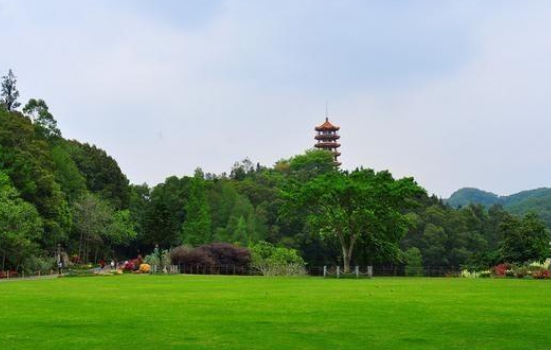 深圳有哪些好玩来自的地方？