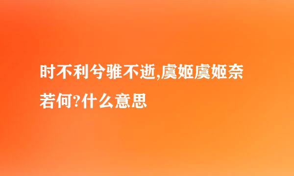 时不利兮骓不逝,虞姬虞姬奈若何?什么意思