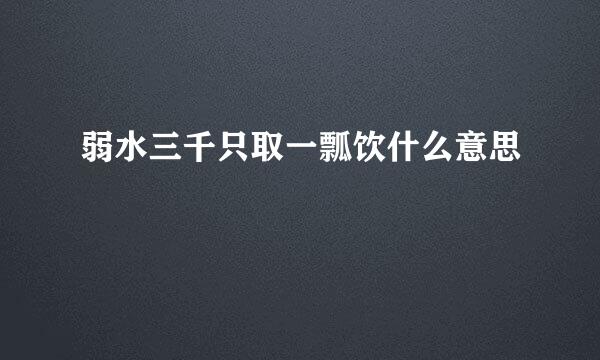 弱水三千只取一瓢饮什么意思