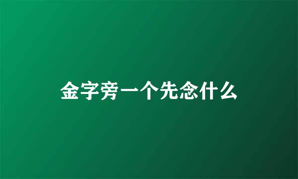 金字旁一个先念什么