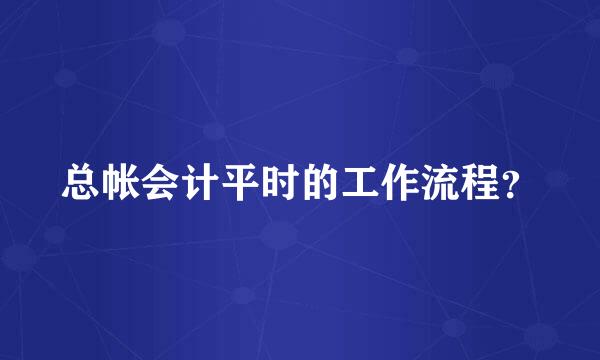 总帐会计平时的工作流程？